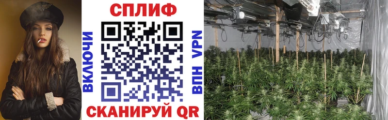 Продажа наркотиков Пролетарск СОЛЬ Меф
